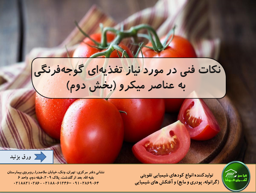 The need of tomato for micro elements